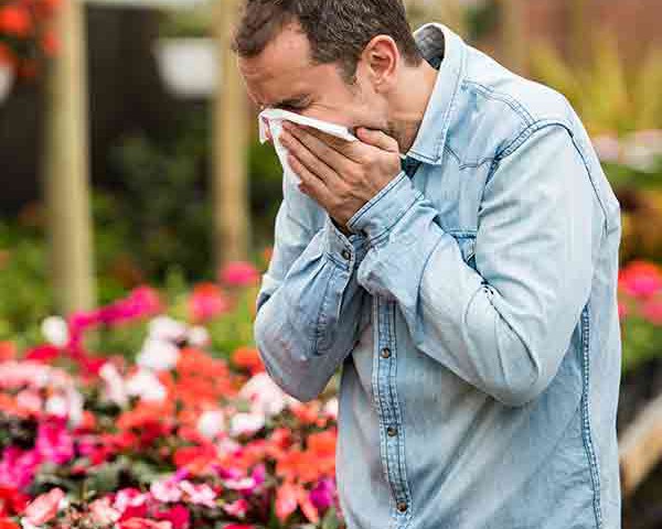 4 Easy Tips to Prep for Allergy Season