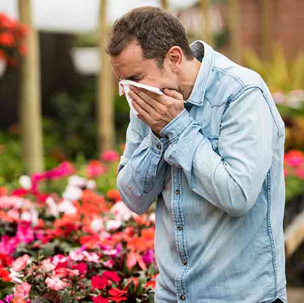 4 Easy Tips to Prep for Allergy Season - LiveHealth Online