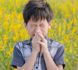 4 Things You Can Do if Your Kids are Suffering from Spring Allergies
