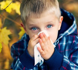 Seasonal Allergies in Children